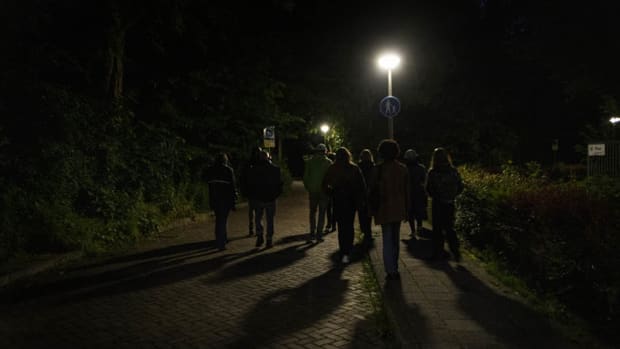 Zoeken naar glimwormen in het Vliegenbos: ‘Het geeft hoop dat nog niet alles verloren is’